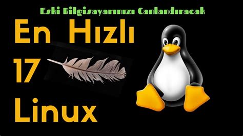 Linux Dağıtımları: En Popüler Seçenekler ve Kullanım Alanları